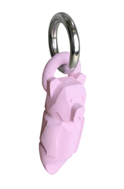 Charm Tótem Tierra de Osos